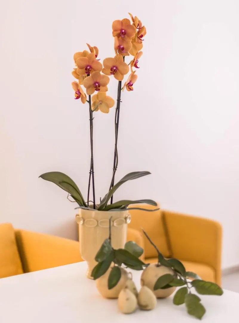 Apartamento Le Residenze Di Don Nino Lecce